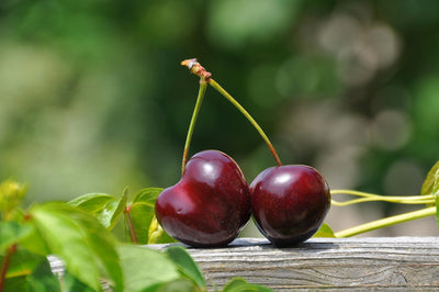 Food as Medicine - Cherry Juice - Jessica Grelle